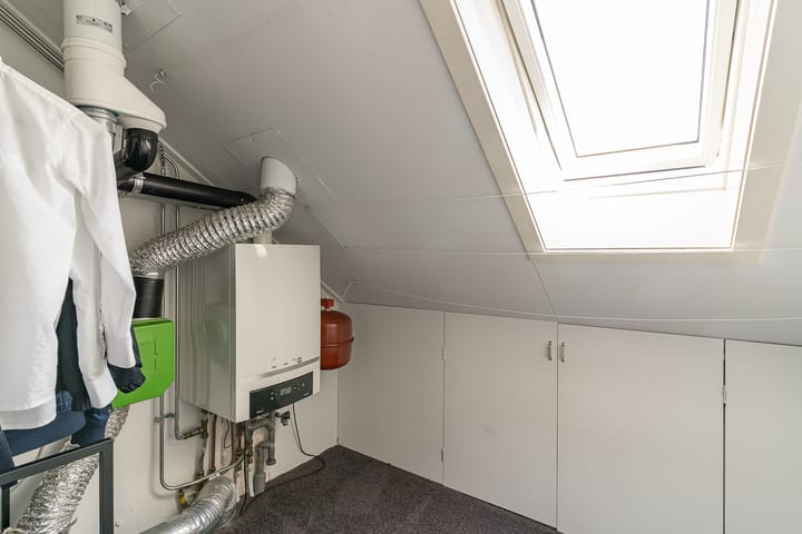 Foto 42 van Spoekeboompje 28