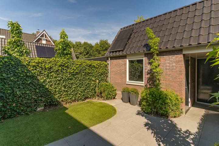 Foto 45 van Spoekeboompje 28