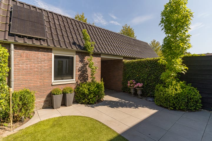 Foto 46 van Spoekeboompje 28