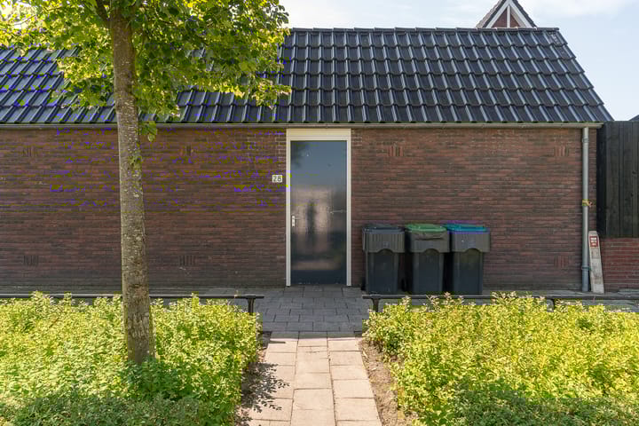 Foto 52 van Spoekeboompje 28