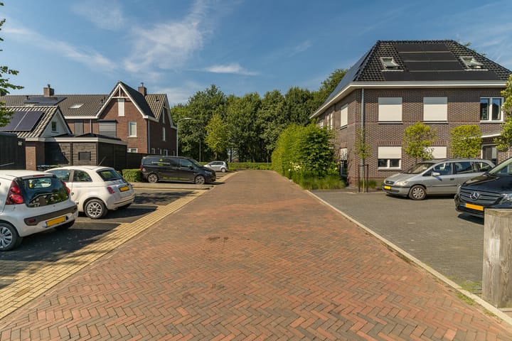 Foto 54 van Spoekeboompje 28