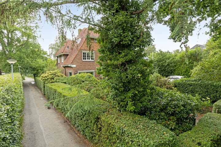 Foto 10 van Westerse Drift 89