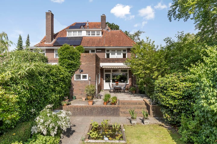 Foto 48 van Westerse Drift 89