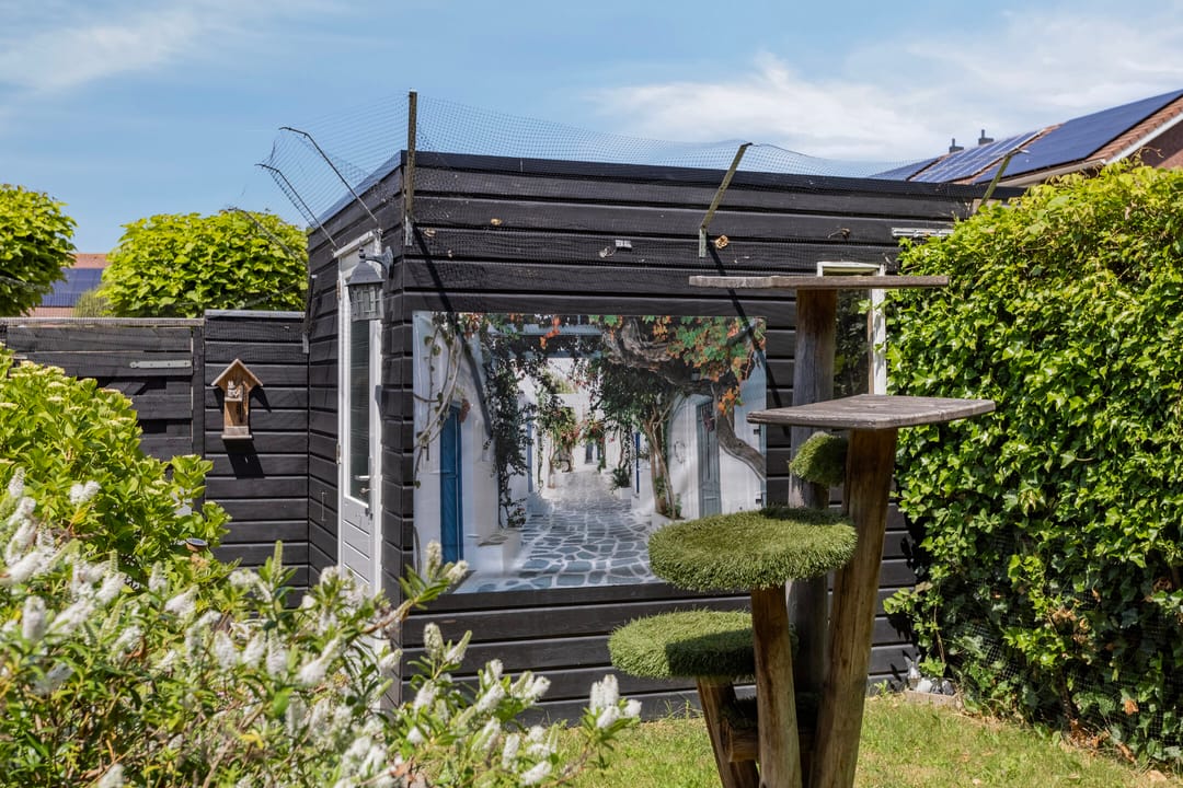 Foto 22 van Haagwinde 3