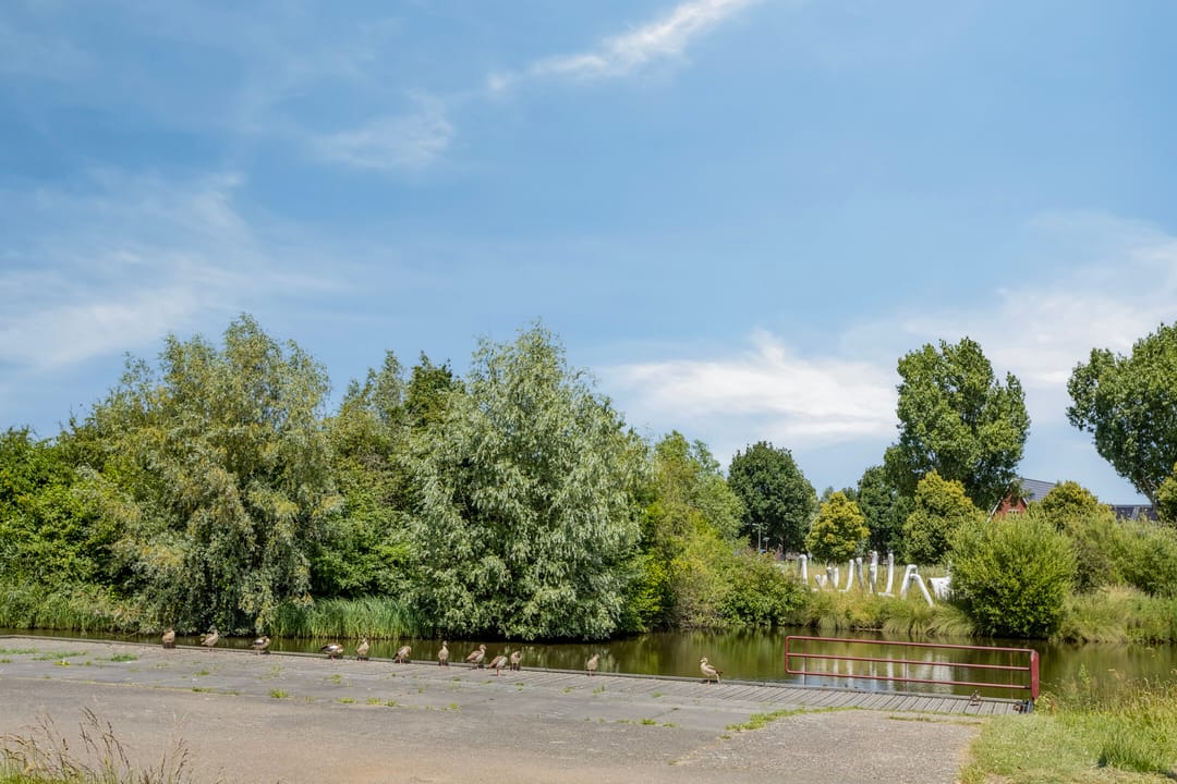 Foto 26 van Haagwinde 3