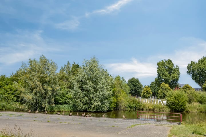 Foto 26 van Haagwinde 3