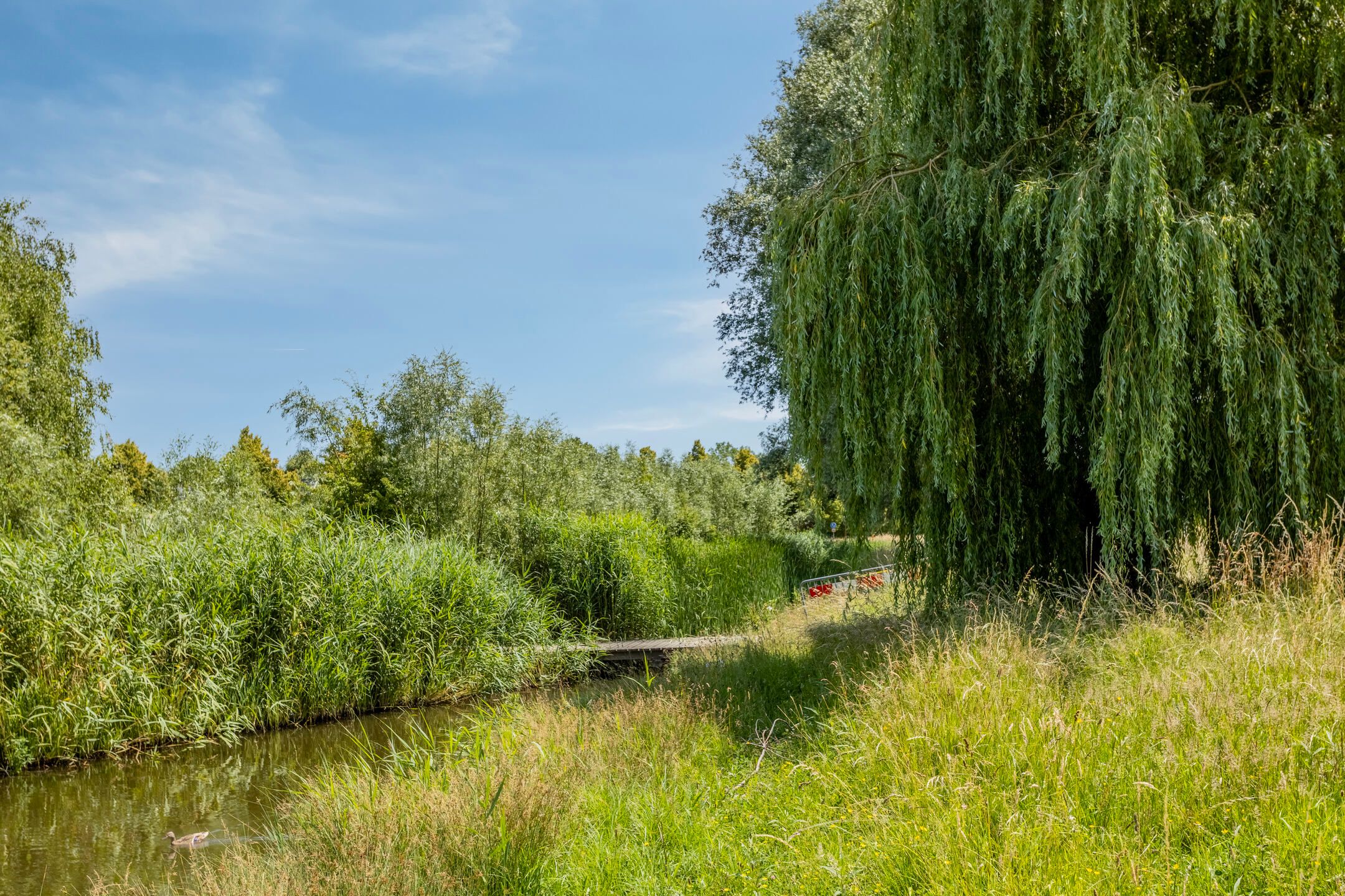 Foto 27 van Haagwinde 3