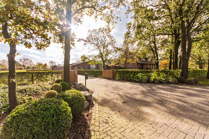 Foto 8 van Patersweg 13