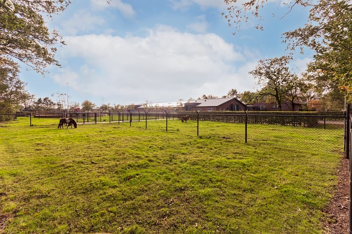 Foto 77 van Patersweg 13