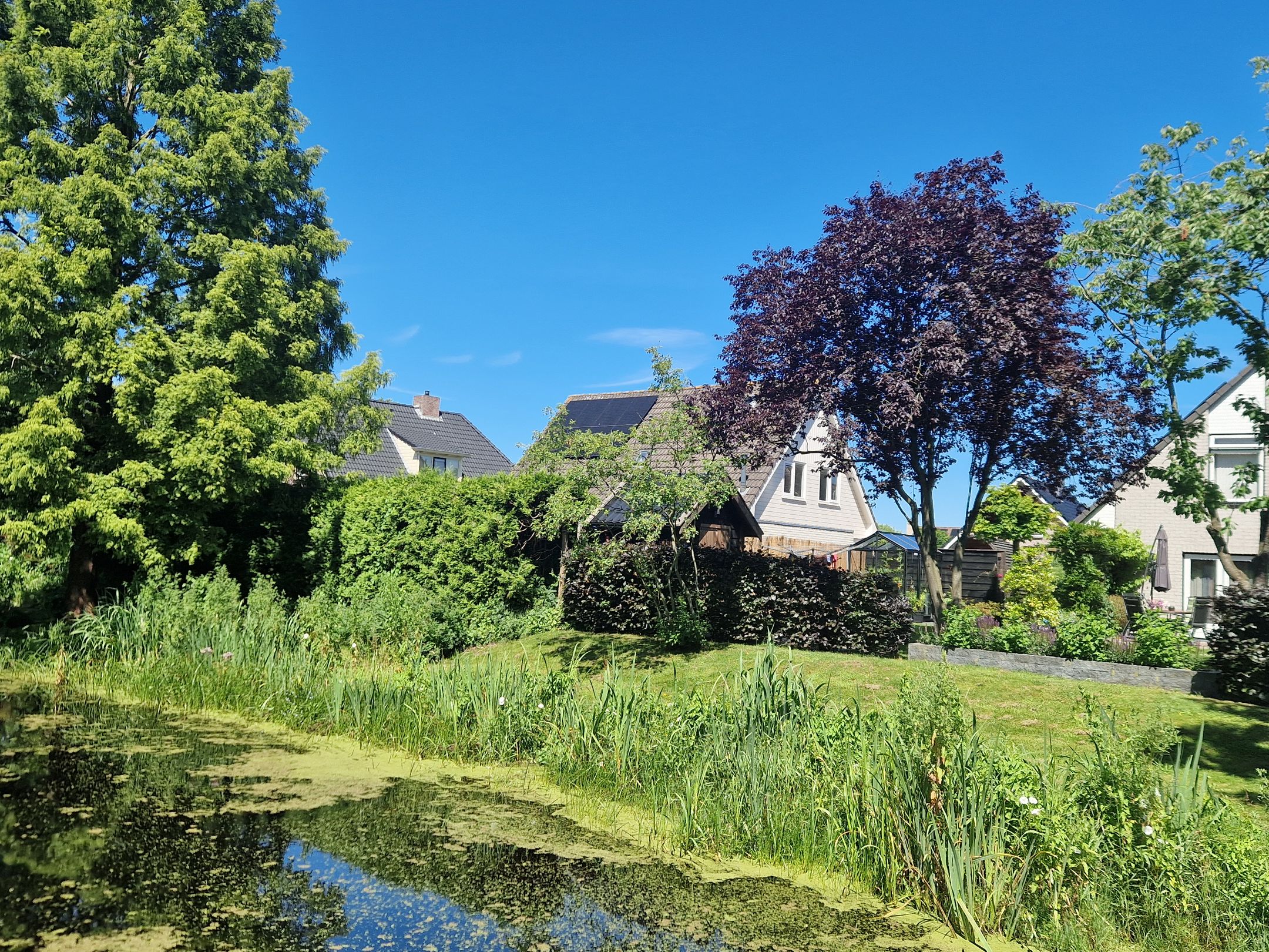 Foto 30 van Pastorije 98