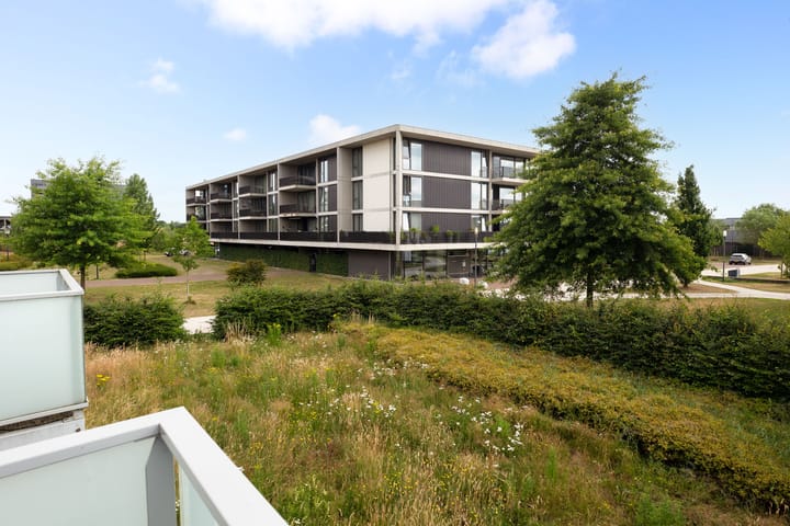 Foto 20 van Koetshuislaan 841