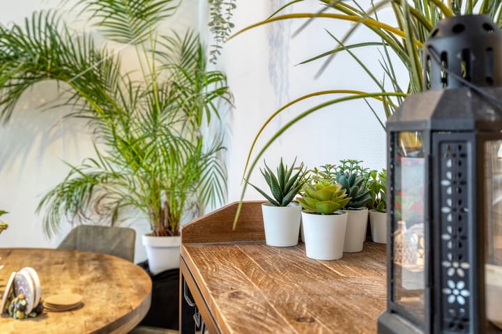 Foto 20 van Nova Zemblastraat 407