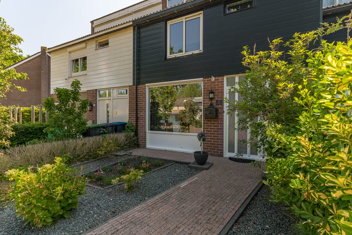 Foto 6 van Rijsaert 6