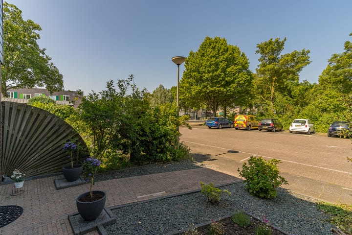 Foto 7 van Rijsaert 6