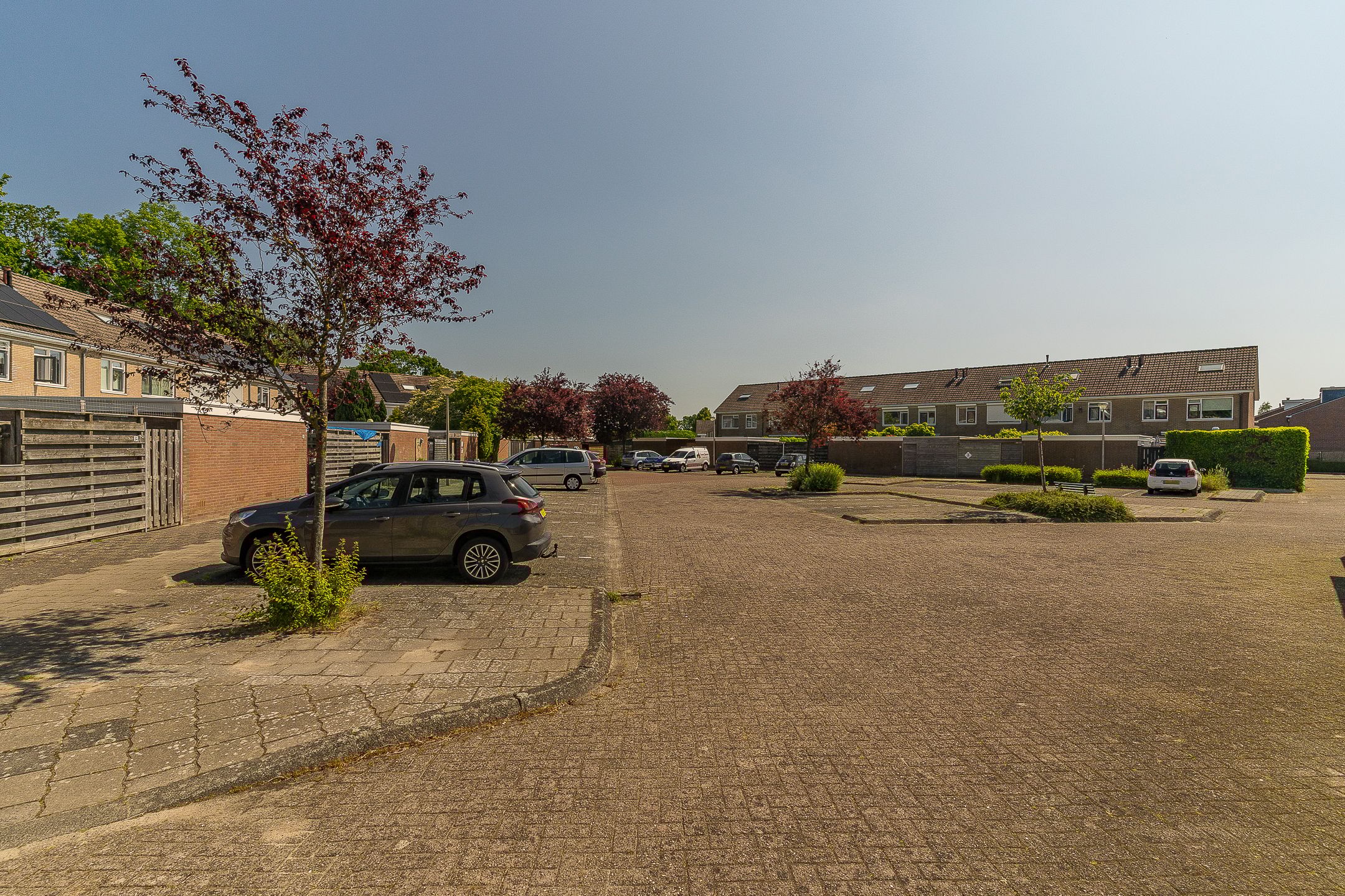 Foto 42 van Rijsaert 6