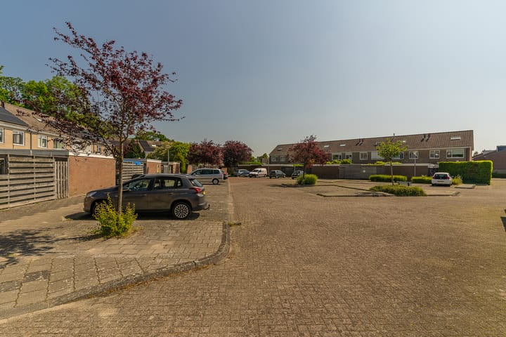 Foto 42 van Rijsaert 6