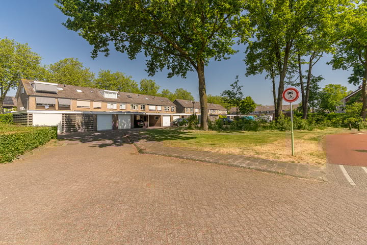 Foto 43 van Rijsaert 6