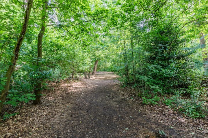 Foto 43 van Hermelijnstraat 8