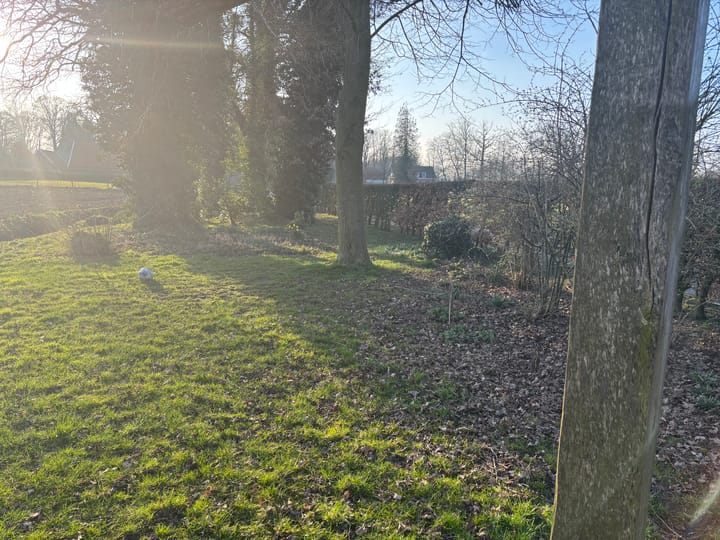 Photo 5 of Vicarieweg 3