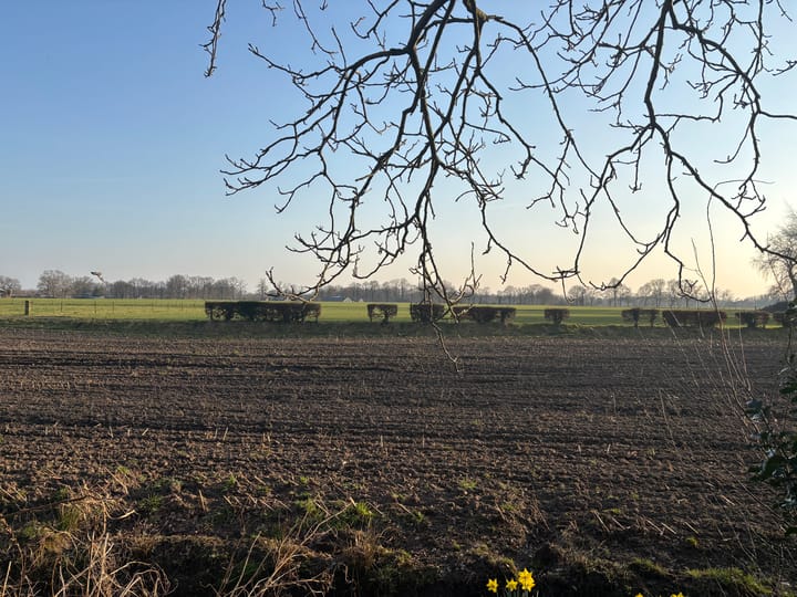 Photo 4 of Vicarieweg 3