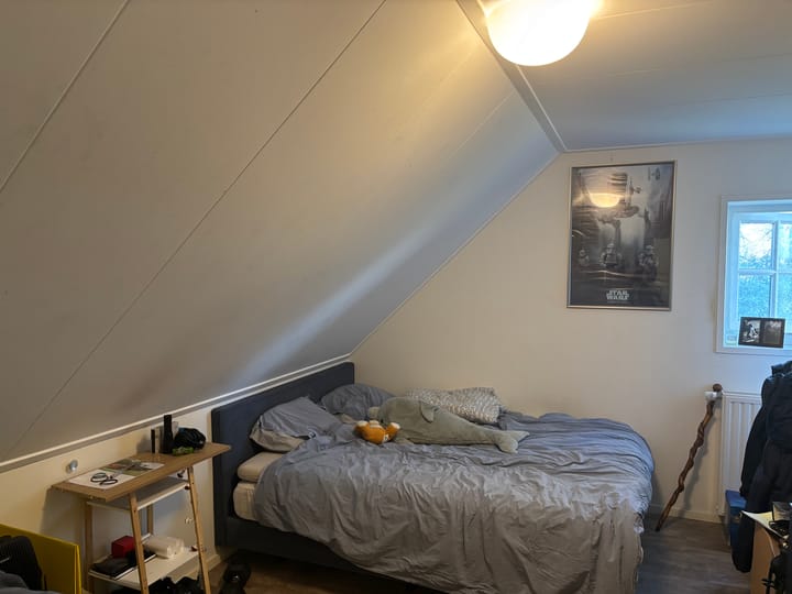 Foto 18 van Vicarieweg 3