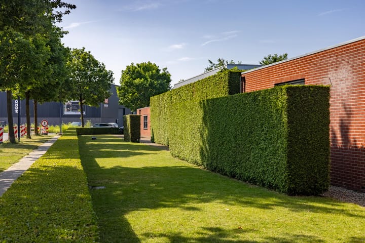 Photo 36 of Vragenderweg 60-B