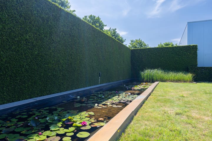 Photo 34 of Vragenderweg 60-B