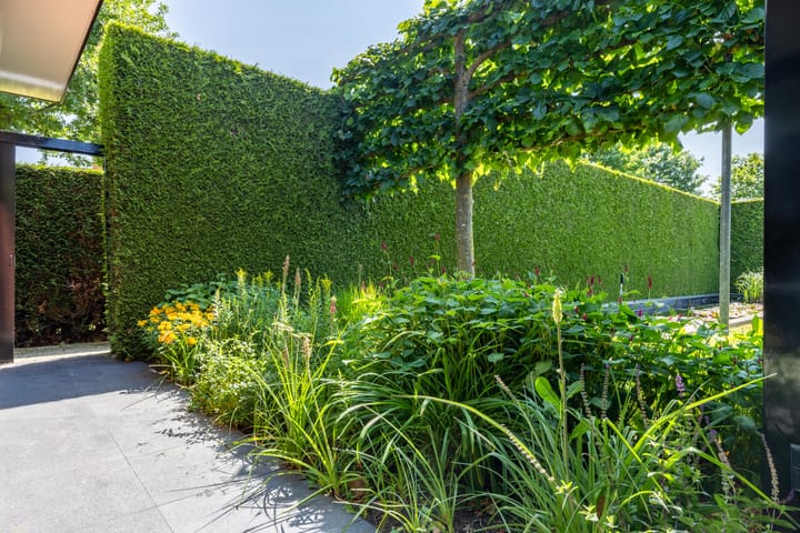 Photo 33 of Vragenderweg 60-B