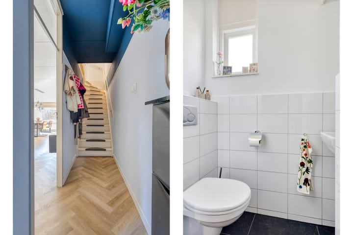 Photo 3 of Helmkruid 5