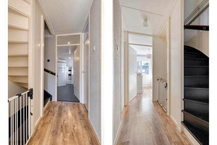 Photo 14 of Helmkruid 5