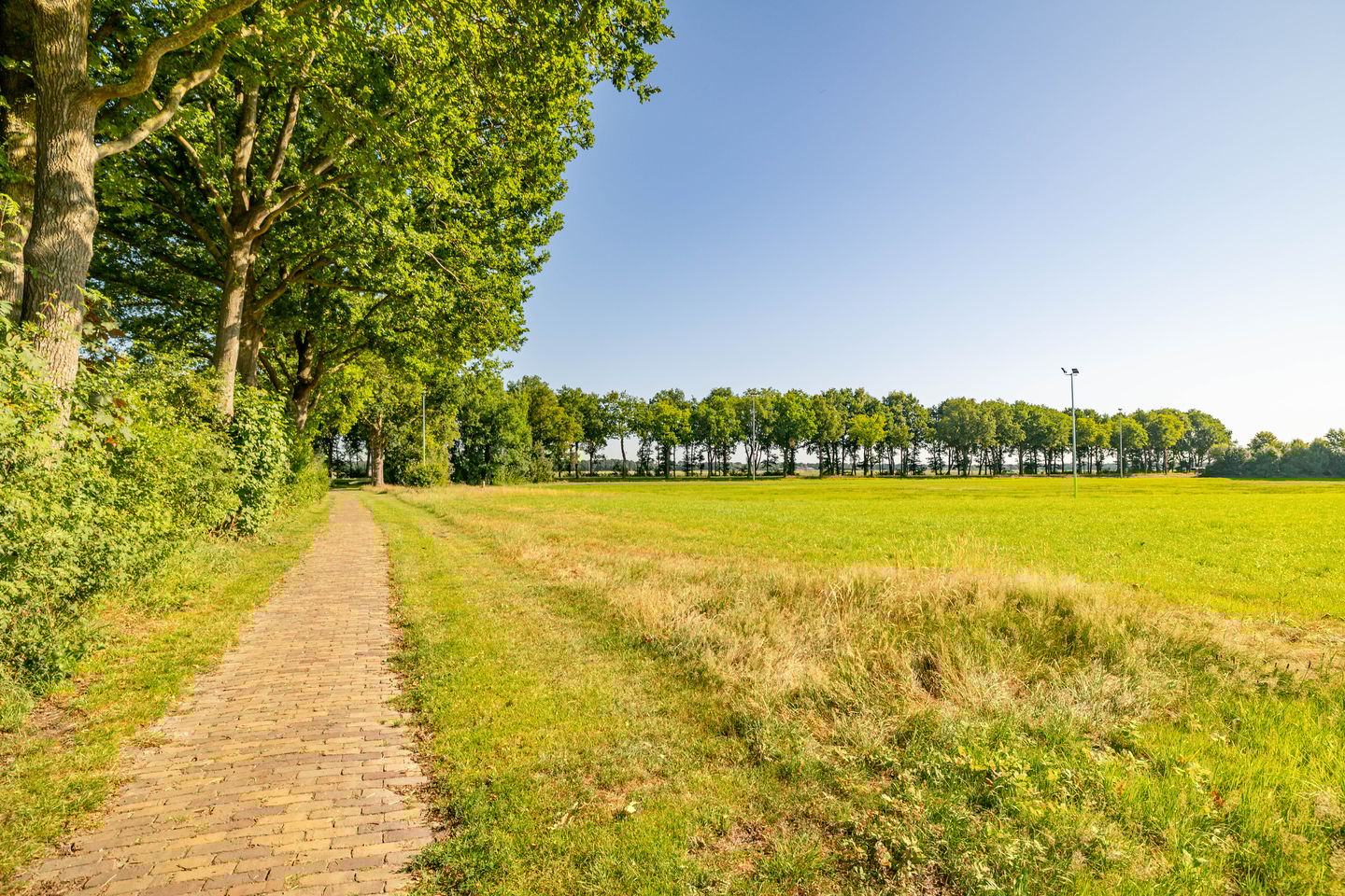 Photo 64 of W Jaasmasingel 48