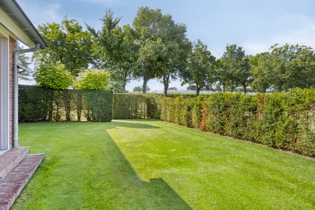 Foto 37 van Hofweg 25