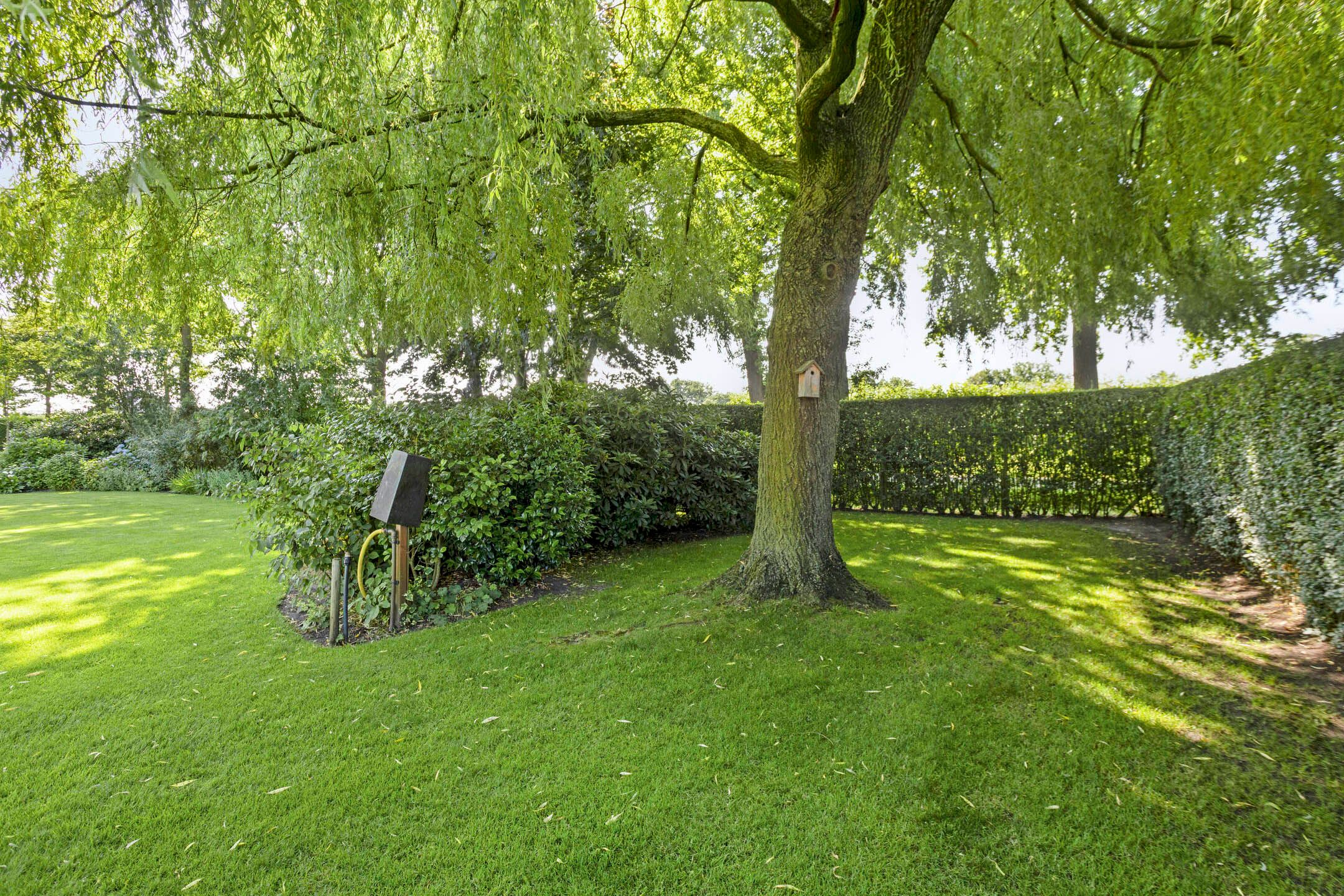 Foto 42 van Hofweg 25