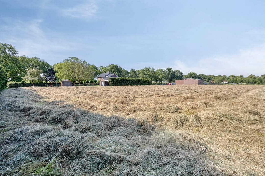 Foto 46 van Hofweg 25