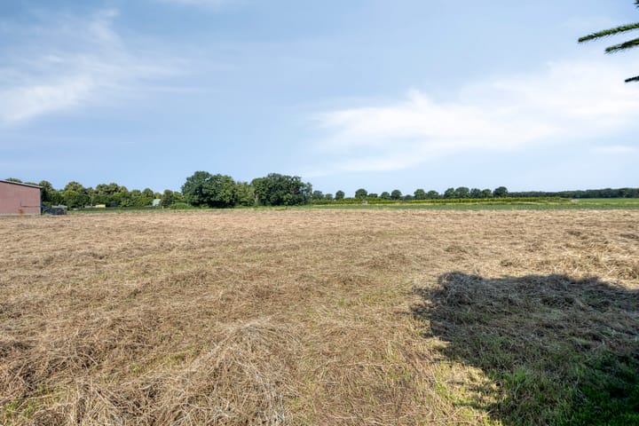 Foto 47 van Hofweg 25