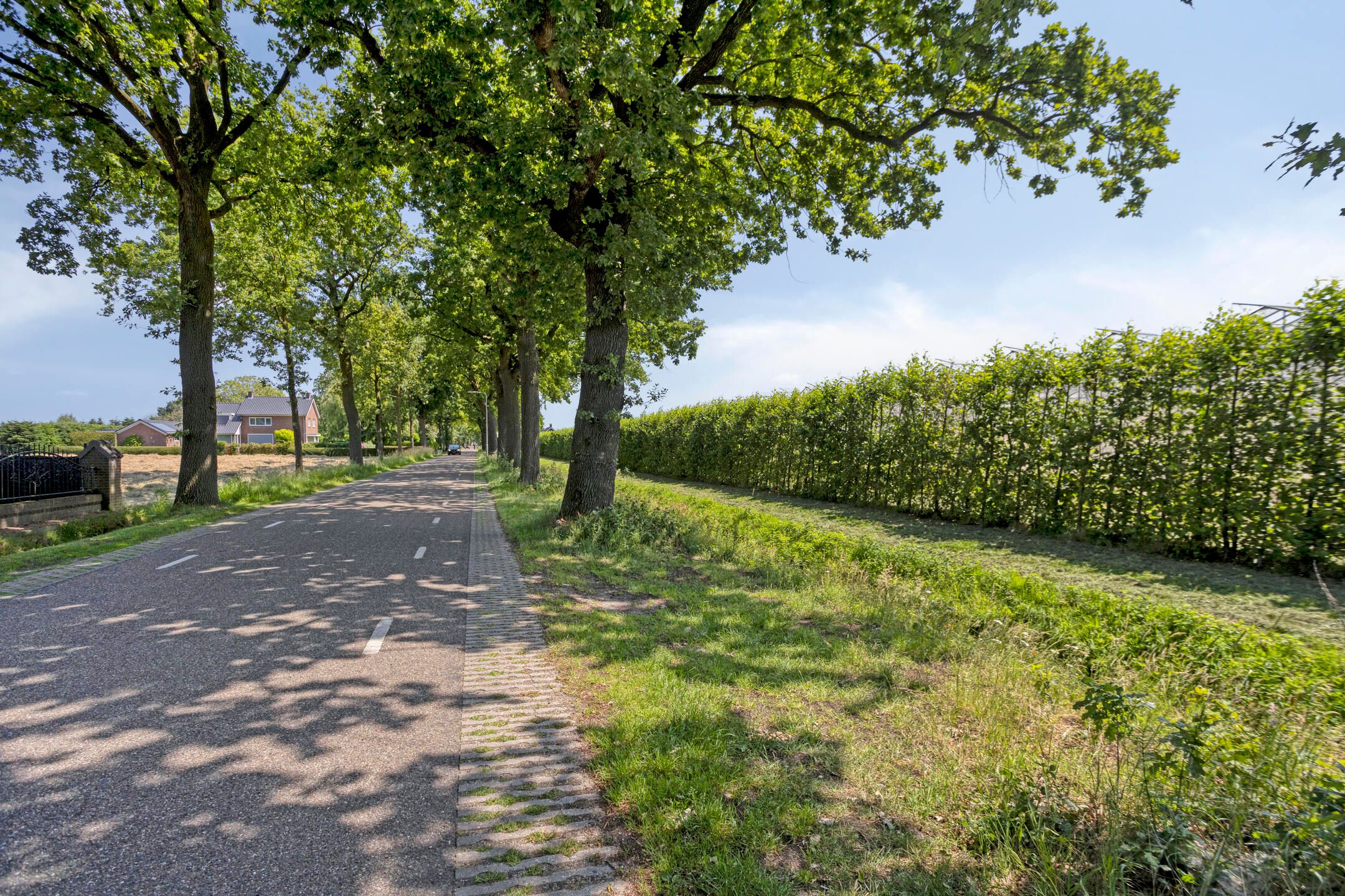 Foto 48 van Hofweg 25