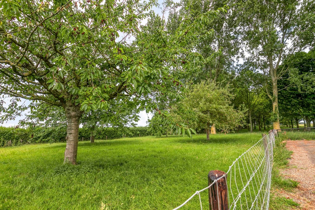 Foto 8 van Langeweg 14