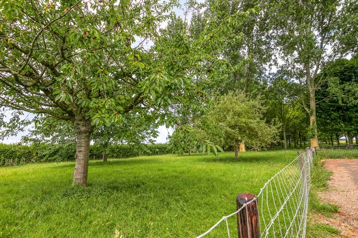 Foto 8 van Langeweg 14