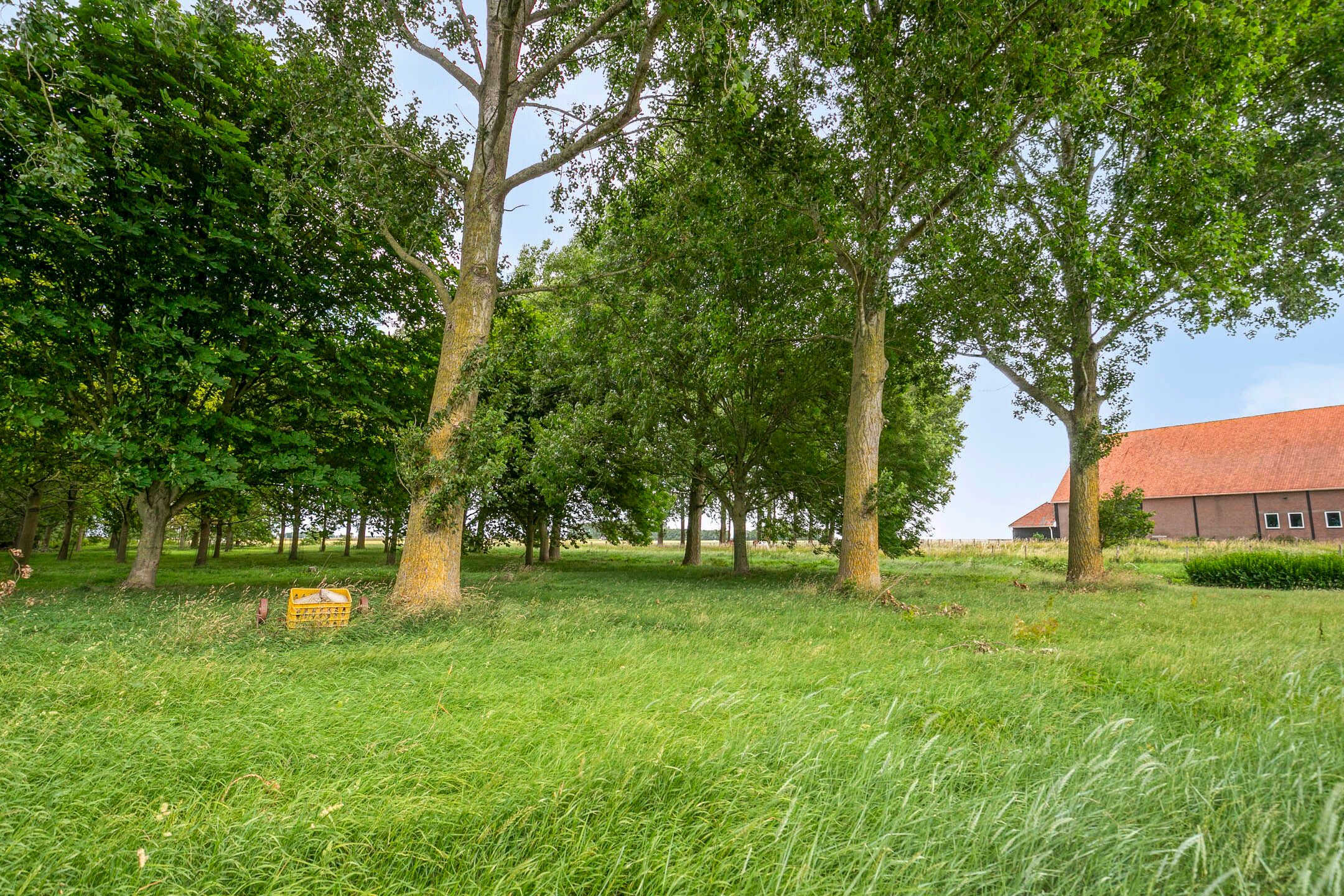 Foto 9 van Langeweg 14