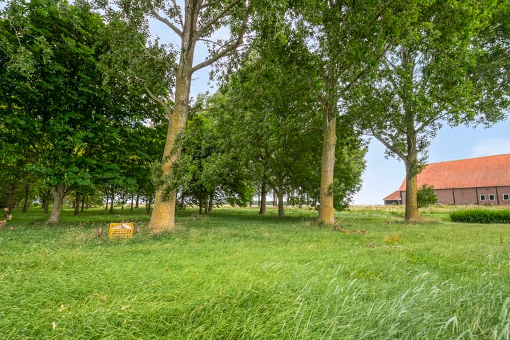 Foto 9 van Langeweg 14