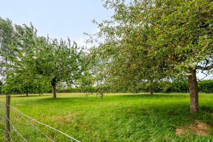 Foto 42 van Langeweg 14