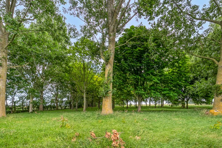 Foto 43 van Langeweg 14