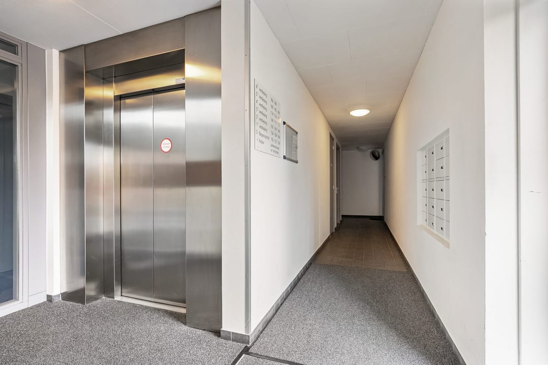 Foto 2 van Nachtschade 150