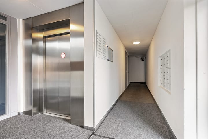 Foto 2 van Nachtschade 150