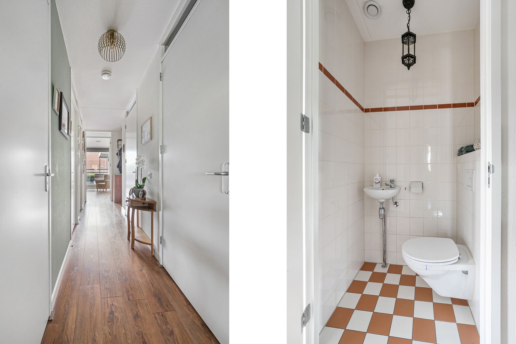 Foto 24 van Nachtschade 150