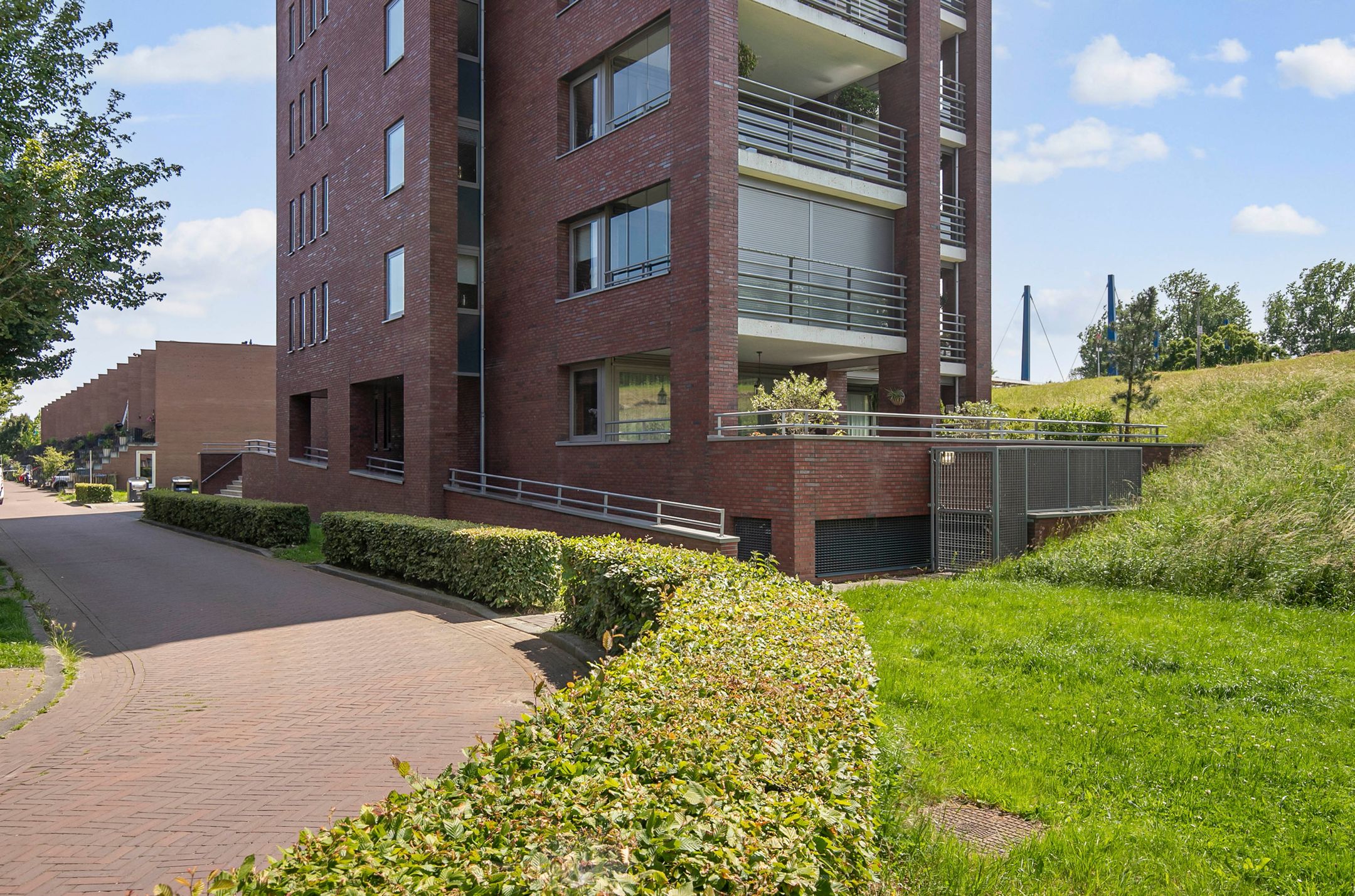 Foto 30 van Nachtschade 150