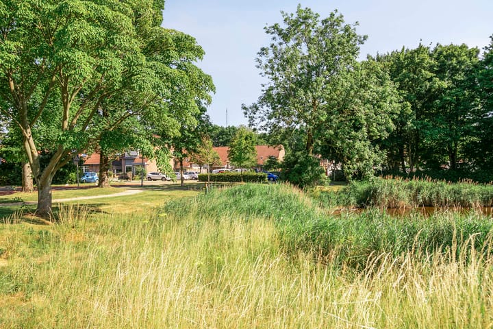 Foto 31 van Monnetstede 52