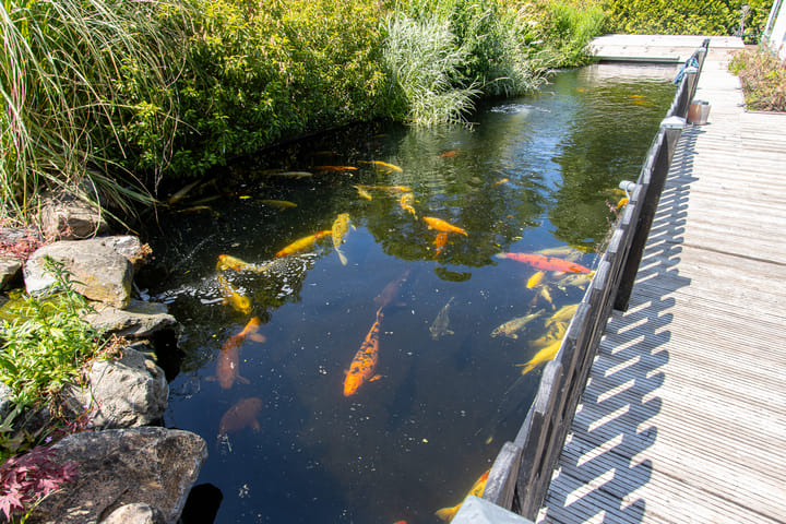 Foto 61 van Kerkstraat 17