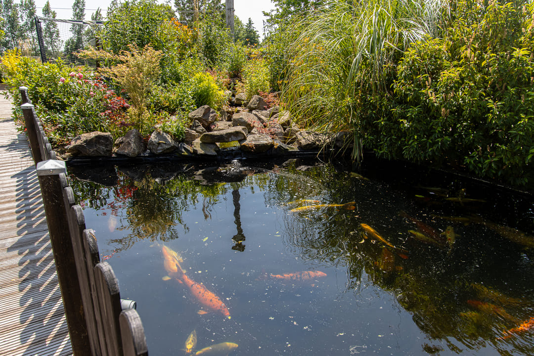 Foto 62 van Kerkstraat 17