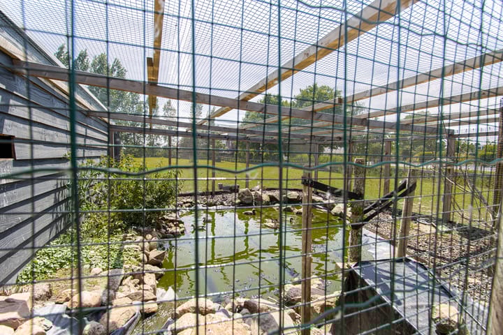 Foto 68 van Kerkstraat 17